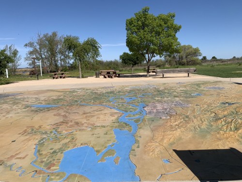 A large topographic map on the ground, with trees and picnic tables in a park setting under a clear blue sky.