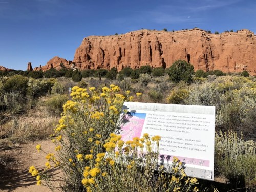 A desert landscape with yellow flowers in the foreground and red rock formations in the background, featuring an informational sign.