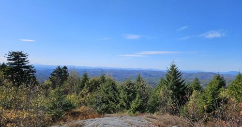 A forest overlooking a horizon with mountains in the background.