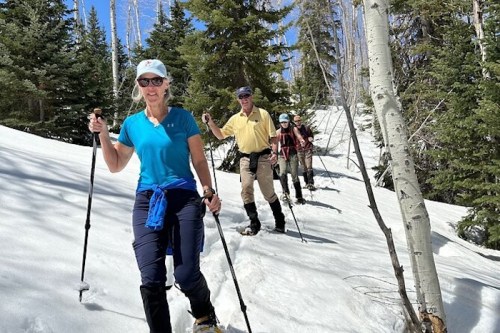 A group of hikers trekking through snowy terrain in a forest, using trekking poles and enjoying the outdoors.