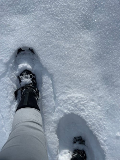 A person's legs in snowshoes walking through deep snow, with fresh snow covering the ground.