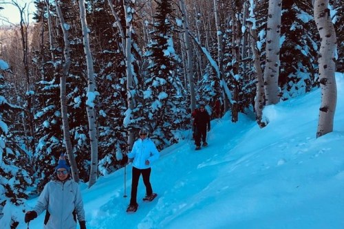 A group of people snowshoeing on a snowy trail surrounded by trees in a winter landscape.