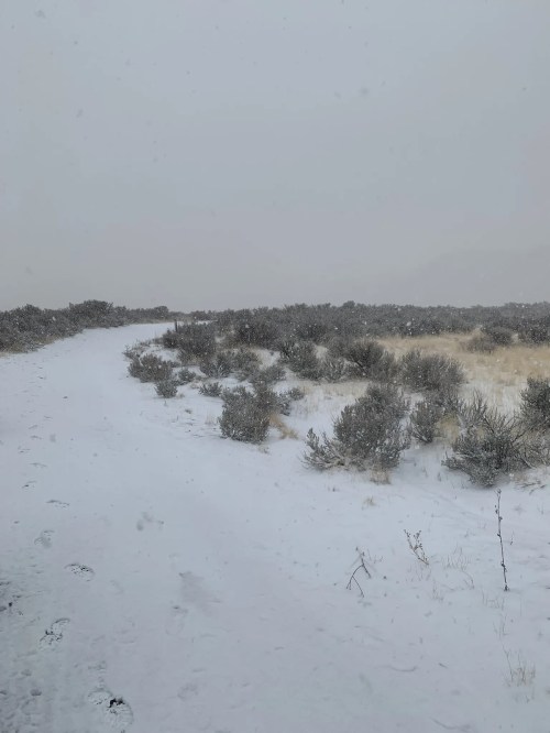 A snowy landscape with a dirt path winding through sparse shrubs and grass under a gray, overcast sky.