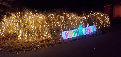 A festive display of colorful lights on bushes with a sign that reads "Happy Holidays" in front.