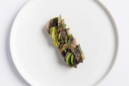 A single, elegantly plated dish featuring layered greens and a dark, textured ingredient on a white plate.