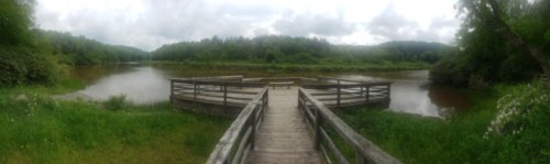 A wooden walkway leads to a serene, green landscape with a calm river and cloudy skies in the background.