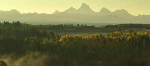 A serene landscape featuring mountains in the distance, surrounded by lush forests and a soft golden light.