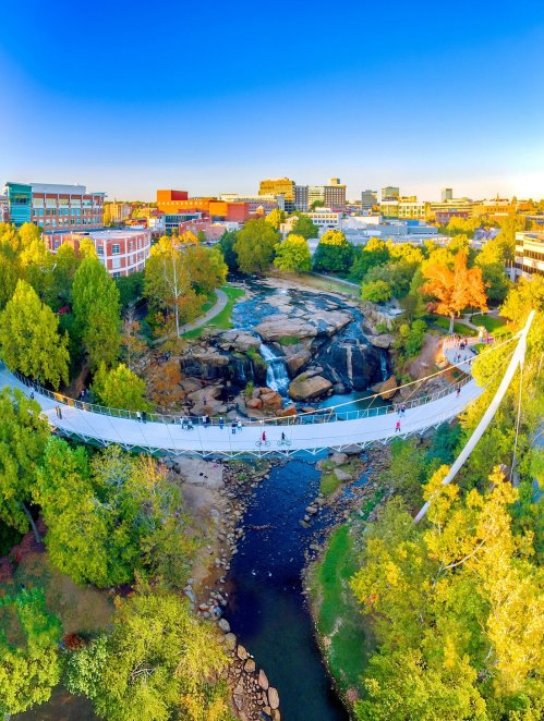 Aerial view of a modern bridge over a river, surrounded by trees and city buildings under a clear blue sky.