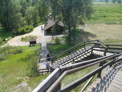 A wooden staircase leads down through green grass to a path and a building in a natural setting.