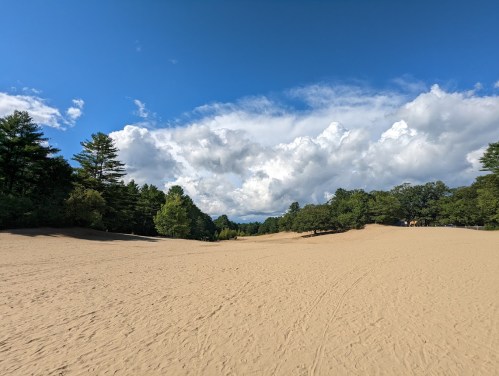 A sandy landscape with scattered trees under a blue sky filled with fluffy white clouds.