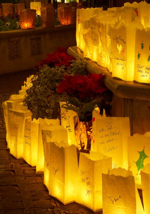 Glowing paper lanterns with handwritten messages, surrounded by festive plants in a warm, inviting setting.