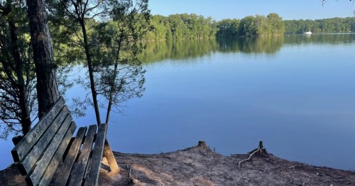 A wooden bench sits on the edge of a lake on a hiking trail in Tennessee.