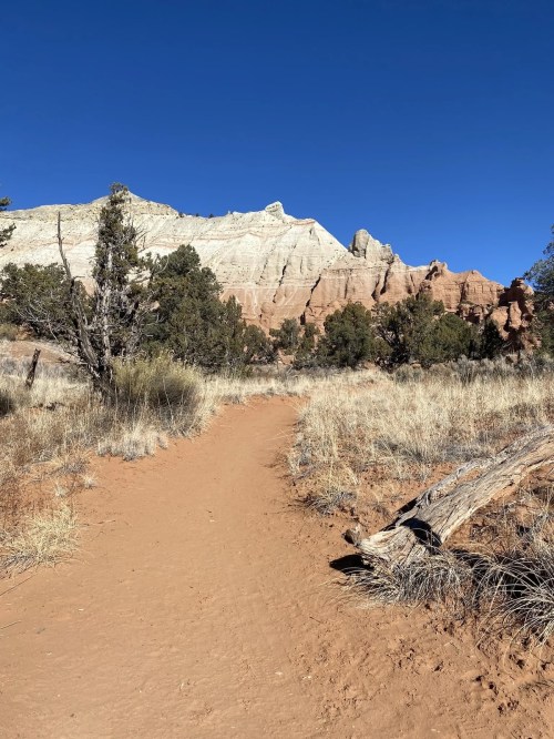 A sandy trail leads through dry grass and shrubs, with rocky cliffs and a clear blue sky in the background.