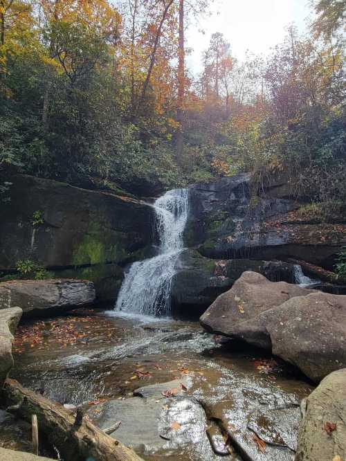 A serene waterfall cascades over rocks, surrounded by autumn foliage and lush greenery.