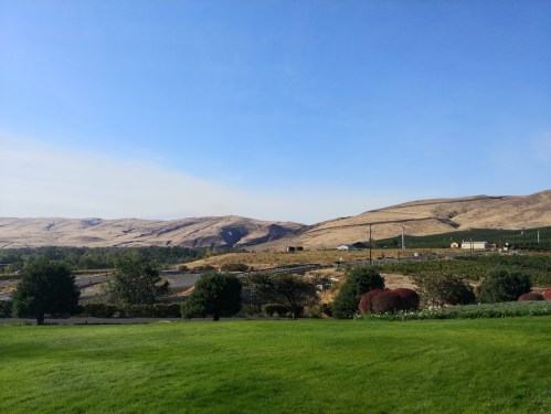 A scenic view of rolling hills under a clear blue sky, with green grass and shrubs in the foreground.