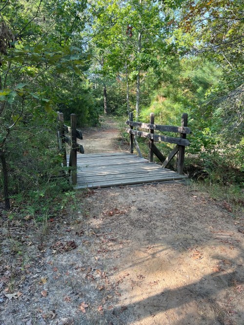 A wooden bridge over a dirt path surrounded by trees and greenery in a natural setting.
