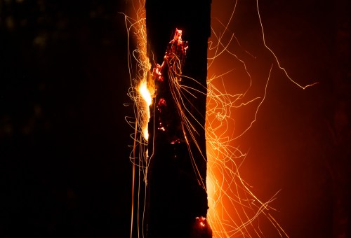 A close-up of a burning tree trunk, with glowing embers and sparks illuminating the dark background.