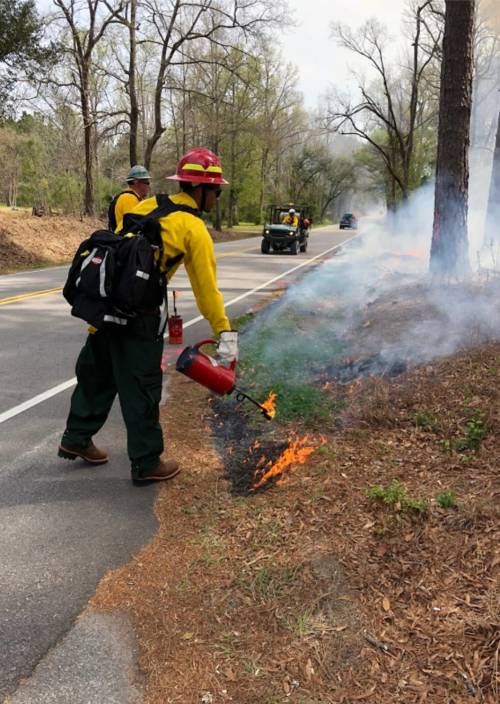 Firefighter using a fire extinguisher to control a small fire along a roadside, with smoke rising from the ground.