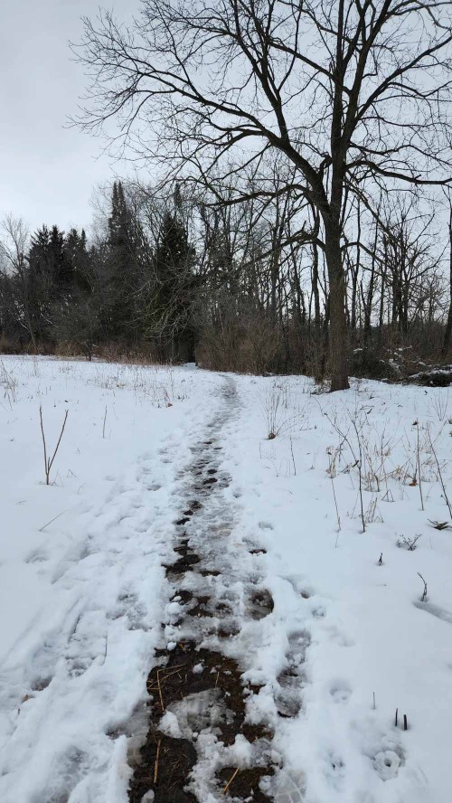 A snowy path winding through a winter landscape with bare trees and a cloudy sky.