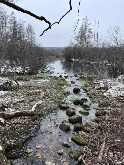 A serene river scene with rocky banks, sparse trees, and a cloudy sky, reflecting winter's chill.