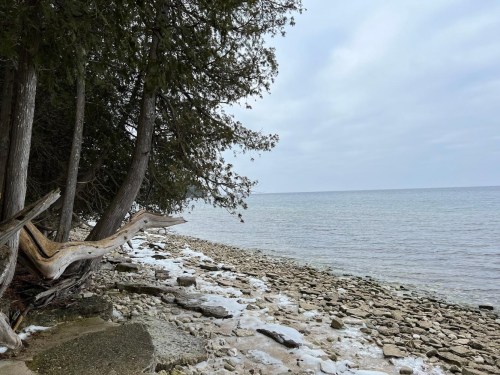 A rocky shoreline with trees on the left, under a cloudy sky and calm water in the background.