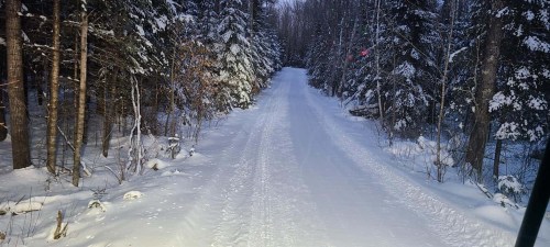 Snow-covered path winding through a dense forest of evergreen trees.