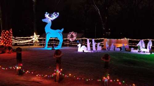 A festive display featuring a large illuminated reindeer, holiday lights, and various decorations in a winter setting.