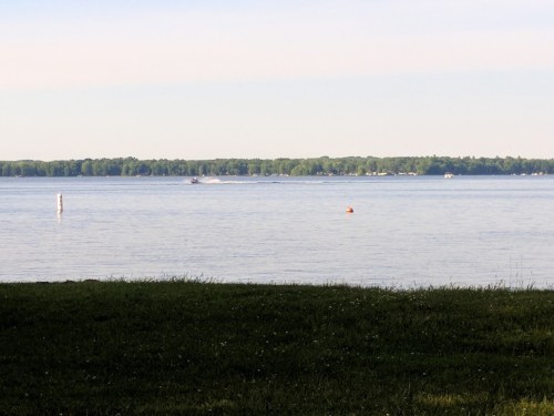 A calm lake scene with a grassy foreground, distant trees, and a boat on the water under a clear sky.