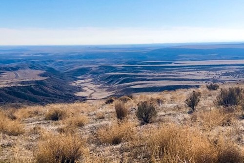 A panoramic view of rolling hills and valleys under a clear blue sky, with dry grass and shrubs in the foreground.