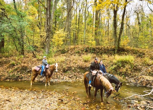 Two people on horseback in a forested area, crossing a shallow stream surrounded by autumn foliage.