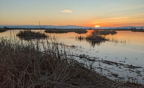Sunset over a tranquil wetland, with silhouettes of reeds and small islands reflected in the calm water.