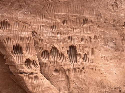 Textured sandstone wall with unique, wavy patterns and indentations, showcasing natural erosion and geological features.