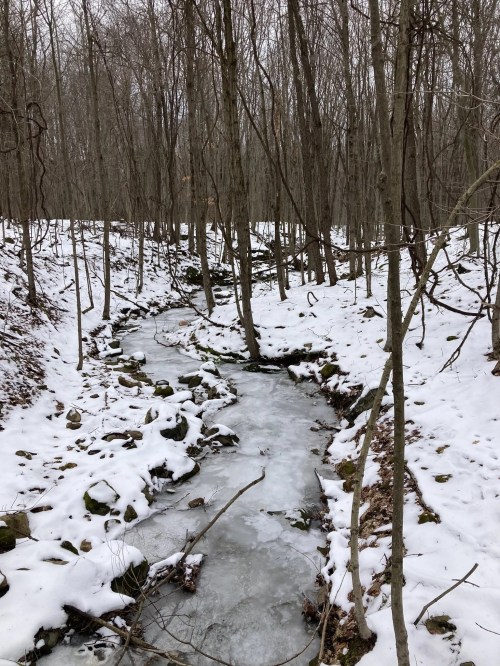 A frozen stream flows through a snowy forest, surrounded by bare trees and rocky banks.