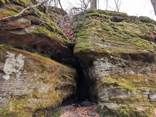A moss-covered rock formation with a dark opening, surrounded by trees and fallen leaves.