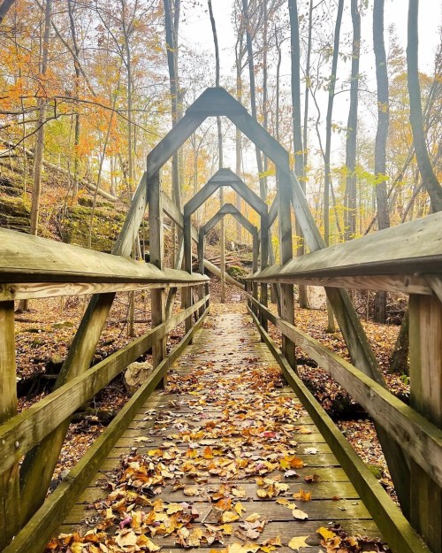 A wooden bridge surrounded by autumn foliage, leading through a forest with colorful leaves on the ground.