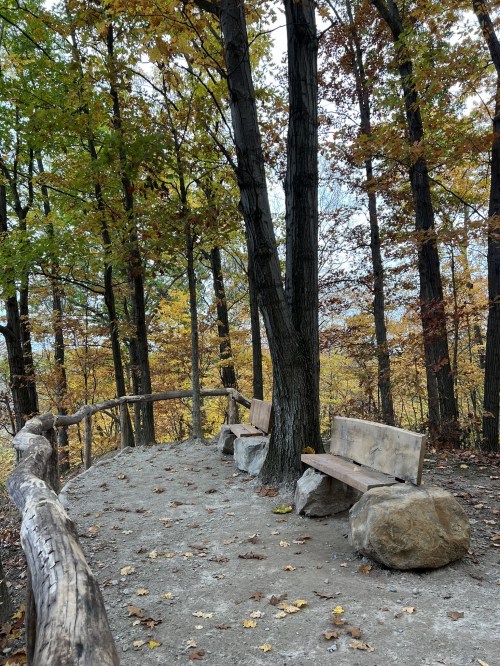 A serene forest scene with two wooden benches beside a dirt path, surrounded by trees with autumn leaves.