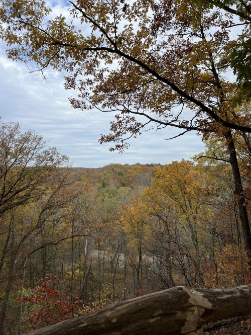 A scenic view of autumn trees with vibrant yellow and orange leaves, framed by branches against a cloudy sky.