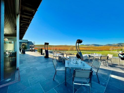 Outdoor dining area with metal tables and chairs, overlooking a vineyard under a clear blue sky.