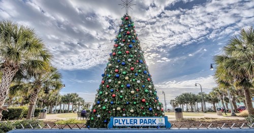 A large decorated Christmas tree stands in Plyler Park, surrounded by palm trees and a cloudy sky.
