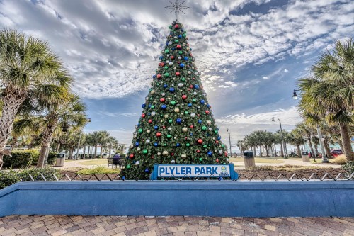 A large decorated Christmas tree stands in Plyler Park, surrounded by palm trees and a cloudy sky.