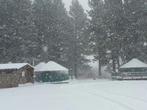 Snowy landscape with yurt-style buildings surrounded by tall pine trees, heavy snowfall obscuring visibility.