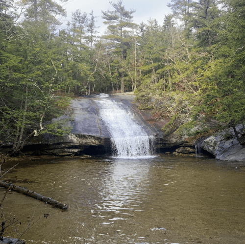 A serene waterfall cascading over rocks into a calm pool, surrounded by lush green trees and a peaceful natural setting.