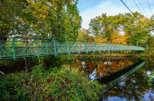 A green suspension bridge spans a calm river, surrounded by trees with autumn foliage reflecting in the water.