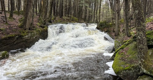 A rushing river flows over rocks in a forest, surrounded by trees and moss-covered banks.