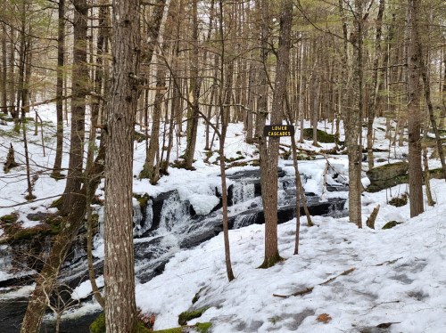 A snowy forest scene with a sign for "Lower Cascades" next to a small waterfall flowing through the trees.