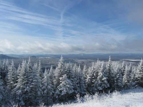 A snowy landscape with frosted evergreen trees under a blue sky and wispy clouds in the distance.