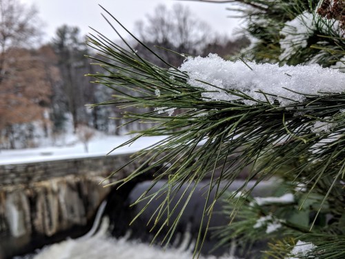 Close-up of snow-dusted pine needles with a blurred winter landscape and a flowing river in the background.