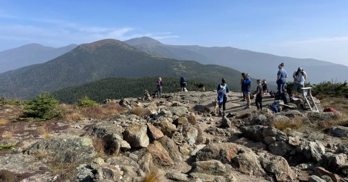 Hikers and dogs on rocky terrain with mountains in the background under a clear blue sky.