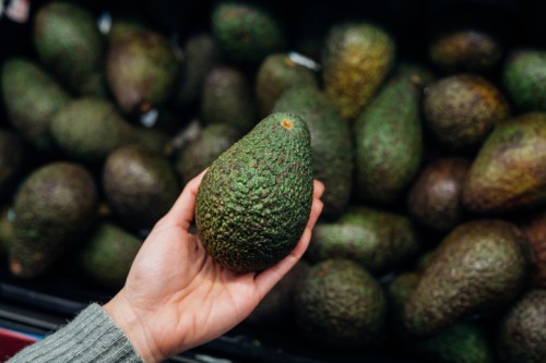 A hand holding a ripe avocado in front of a pile of avocados in a grocery store.