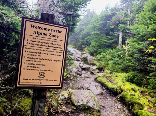 A wooden sign welcomes visitors to the Alpine Zone, outlining rules for safety and conservation on a rocky trail.